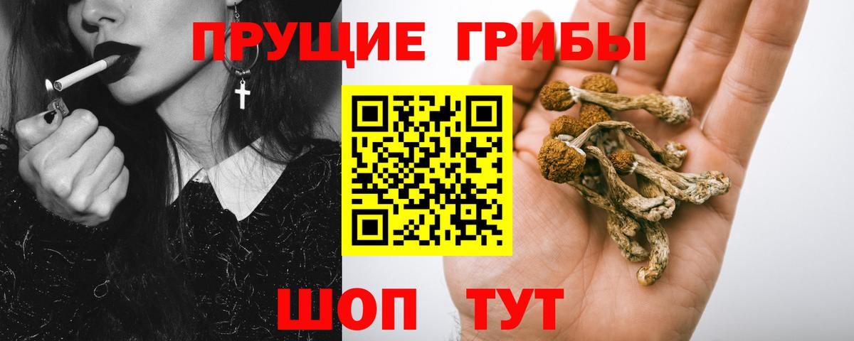 Копейск  Галлюциногенные грибы Psilocybe  Вход с VPN  Галлюциногенные грибы Cubensis 